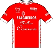 Salgueiros - Malhas - Comax 1988 shirt