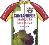 Cantanhede - Marquês da Marialva 2002 shirt