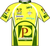 Perutnina Ptuj 2003 shirt