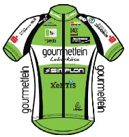 Team Gourmetfein Simplon Wels 2014 shirt