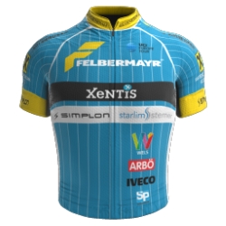 Team Felbermayr - Simplon - Wels 2018 shirt