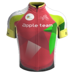 Apple Team 2018 shirt