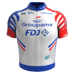 Groupama - FDJ Continental Team 2019 shirt