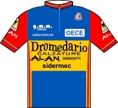 Dromedario - Alan - Sidermec 1983 shirt