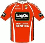 Benfica 2008 shirt