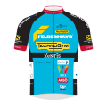 Team Felbermayr - Simplon - Wels 2020 shirt