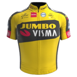 Jumbo - Visma 2021 shirt