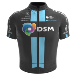 Team DSM 2021 shirt