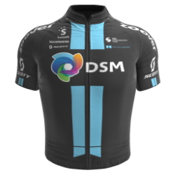DSM Development Team 2021 shirt