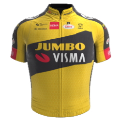 Jumbo - Visma Development Team 2021 shirt
