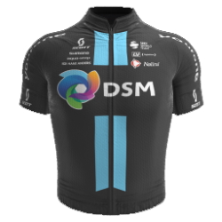 Team DSM 2022 shirt