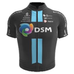 DSM Development Team 2022 shirt