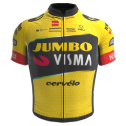 Jumbo - Visma Development Team 2023 shirt