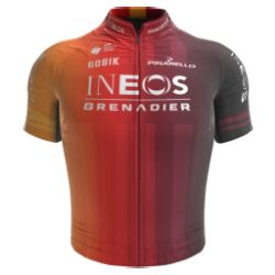 Ineos Grenadiers 2024 shirt