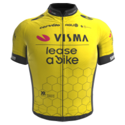 Team Visma - Lease a Bike Development 2024 shirt