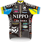 Team Nippo - De Rosa 2013 shirt