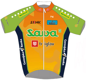 Sava 2010 shirt