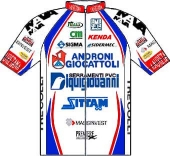 Androni Giocattoli - Serramenti PVC Diquigiovanni 2010 shirt