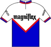 Magniflex 1973 shirt