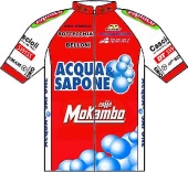 Acqua & Sapone 2011 shirt