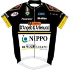 D'Angelo & Antenucci - Nippo 2011 shirt