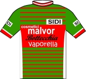 Malvor - Bottecchia - Vaporella 1985 shirt