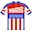Schwinn - Wheaties - Wolber 1988 shirt