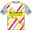 Bleiker 1991 shirt