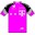 Team Telekom 2002 shirt