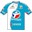 Bouygues Telecom 2008 shirt