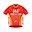 Shenzhen Xidesheng Cycling Team 2019 shirt