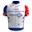 Groupama - FDJ 2021 shirt