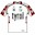 Tyrol - Team Radland Tirol 2009 shirt