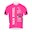Van Rysel - Roubaix Lille Métropole 2024 shirt