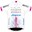 Hagens Berman - Axeon - Jayco 2024 shirt