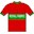 Royal-Fabric 1948 shirt