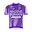 Hagens Berman - Jayco 2026 shirt