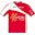 Cofidis, Solutions Crédits 2013 shirt