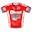 Obrazi Delo Revije 2010 shirt