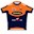 Riwal Platform Cycling Team 2015 shirt