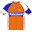 Rabobank Cycling Team 2012 shirt