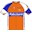 Rabobank Cycling Team 2011 shirt